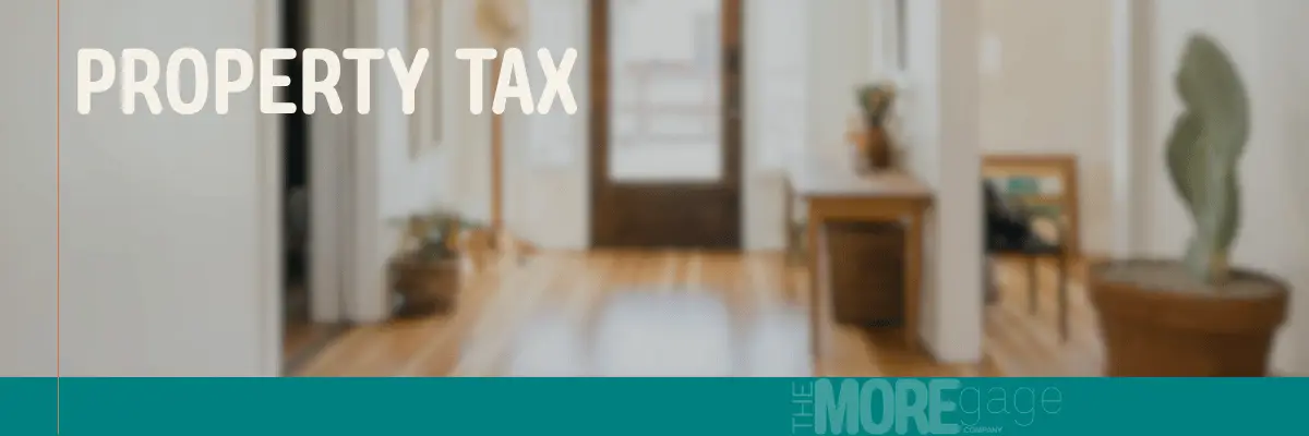 What you need to know about property taxes, property tax bills and property tax assessments